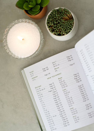 Open book with a candle and plants on a table